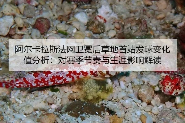 a-er-ka-la-si-fa-wang-wei-mian-hou-cao-di-shou-zhan-fa-qiu-bian-hua-zhi-fen-xi-dui-sai-ji-jie-zou-yu-sheng-ya-ying-2-382.jpg